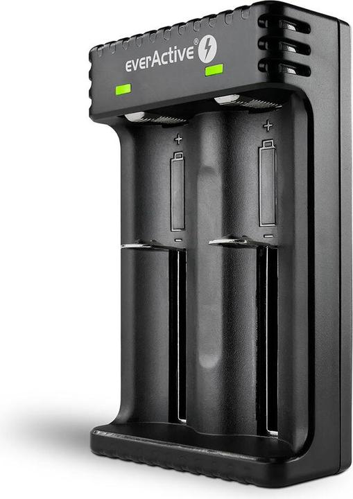 Everactive Batterieladegerät für Li-Ionen-Akkus LC-200 (1 pcs., C, AAA, AA, AAAA, 2200 mAh, Chargers without battery)
