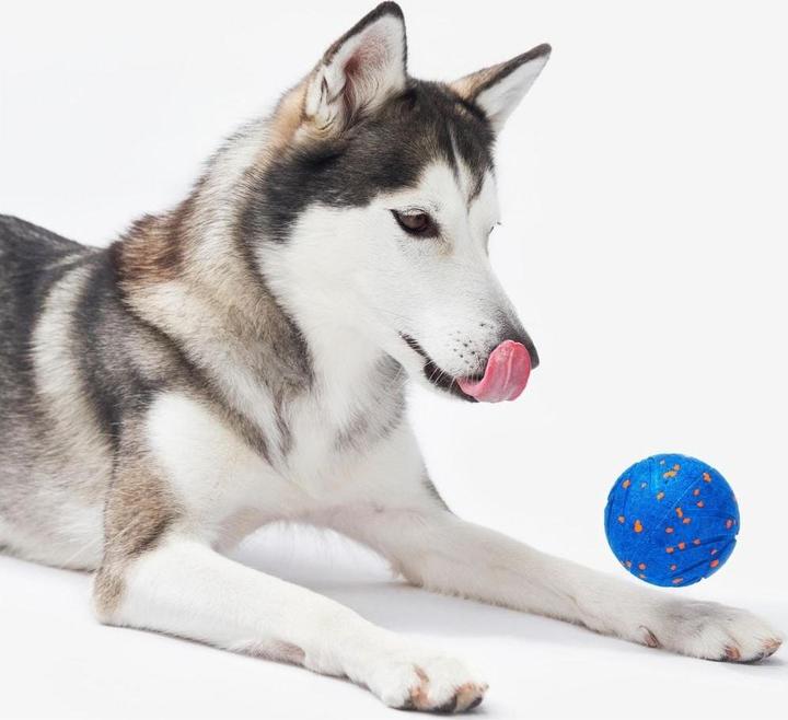 Actual product image Cheerble Wicked Ball Air (Ball toy dog)