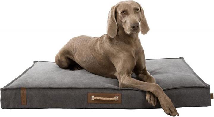 Actual product image Trixie Be Nordic (Dog)