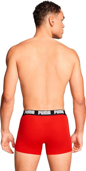 Actual product image Puma Everyday (L, pack of 2)