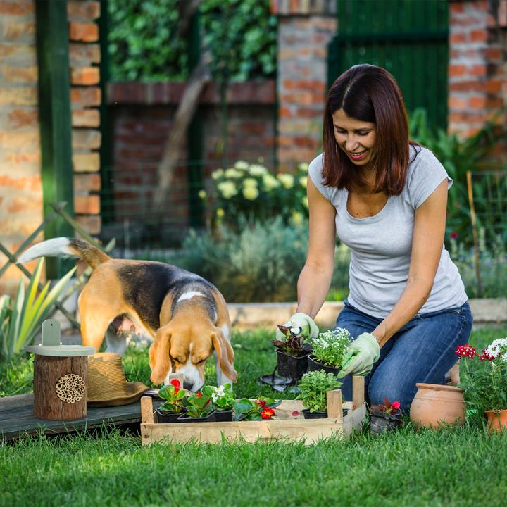 Produktbild Relaxdays Insektenhotel (Biene, Wildbienen)