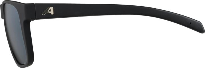 Image du produit ALPINA SPORTS Nacan III
