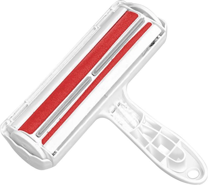 Rot