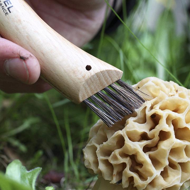 Image du produit Opinel Pilzmesser (8 cm)