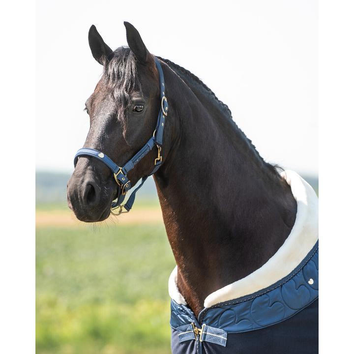 Immagine prodotto Qhp set di cavezza e corda per cavalli lily