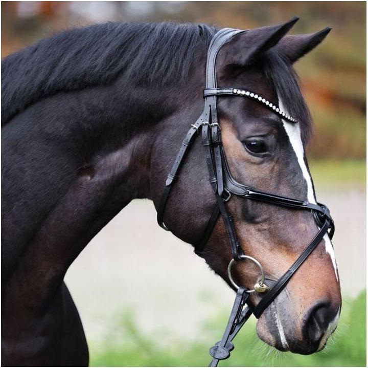 Immagine prodotto Kavalkade Lucia