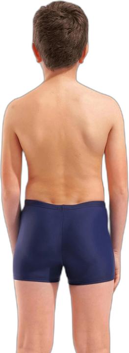 Actual product image Arena B Dim Light Swim Short (140)