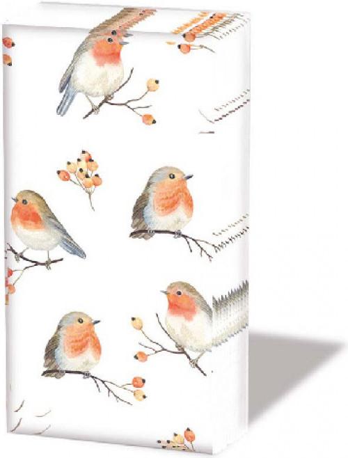 Produktbild Ambiente Taschentücher Robin