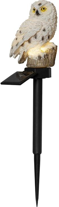 Immagine prodotto Star Trading Owl (IP44)