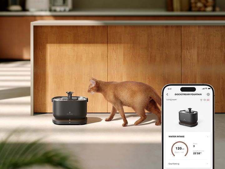 Actual product image Petlibro Dockstream App (2.50 l)