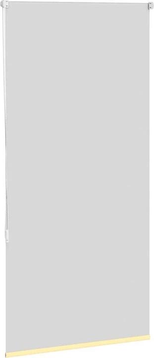 Actual product image vidaXL Verdunkelungsrollo (65 x 150 cm)