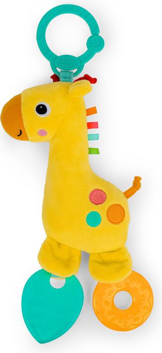 Image du produit Bright Starts Girafe mica et paillettes