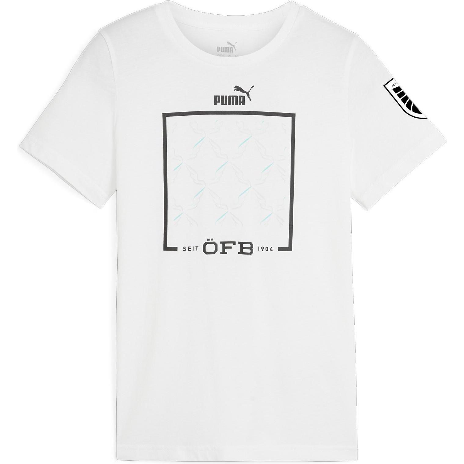 Puma, Jungen, Sportshirt, ÖFB Ftblicons Tee Jr (176), Weiss, 176