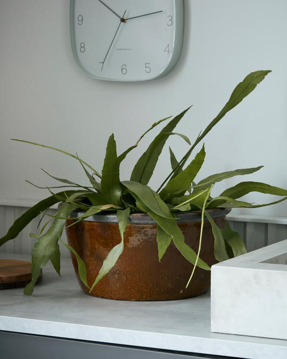 Image du produit House Doctor Whai (17 cm)