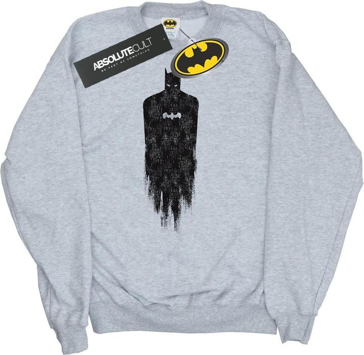 Actual product image Boys Batman Brushed Sweatshirt (152, 158)