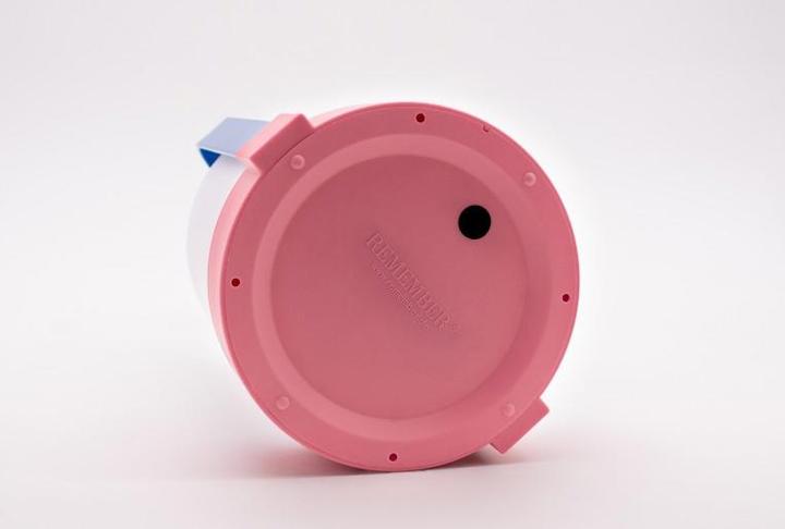 Produktbild Remember Bernadette