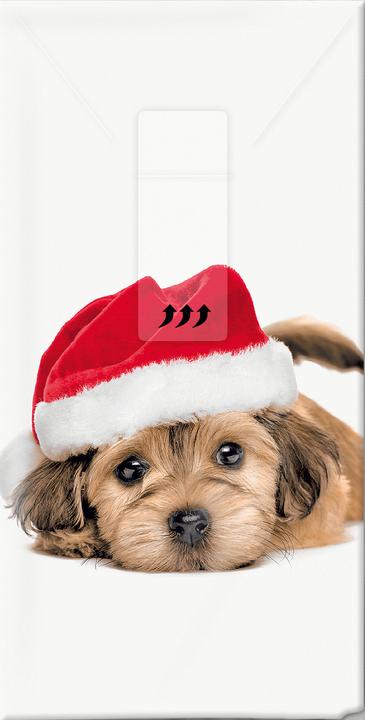 Actual product image Paper + Design Papertaschentücher "Sweet Santa Dog"