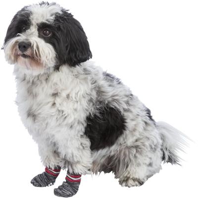 Produktbild Trixie Hundesocken XL (XL, Hundesocken)