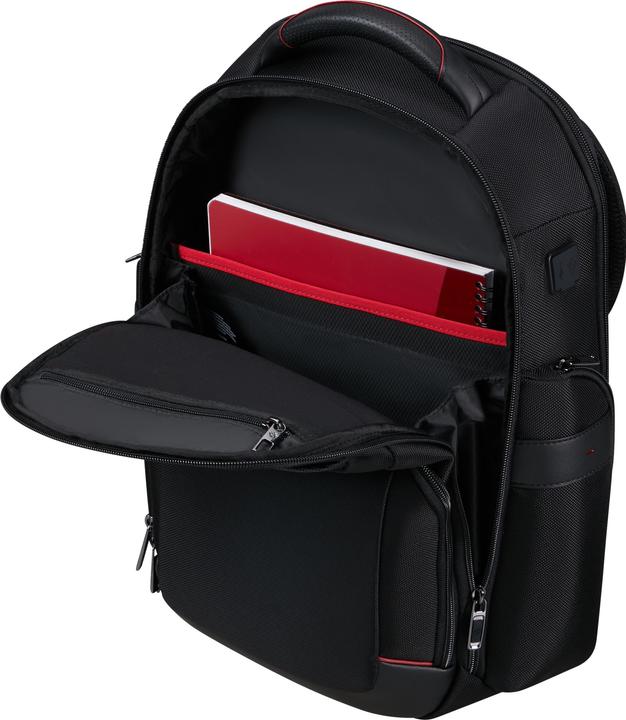 Actual product image Samsonite Pro-DLX 6 Backpack 15.6" (15 l)
