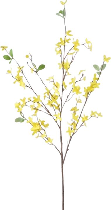 Image du produit Boltze Home Branche décorative