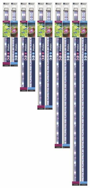 Dennerle Trocal LED - buy at Galaxus - Galaxus