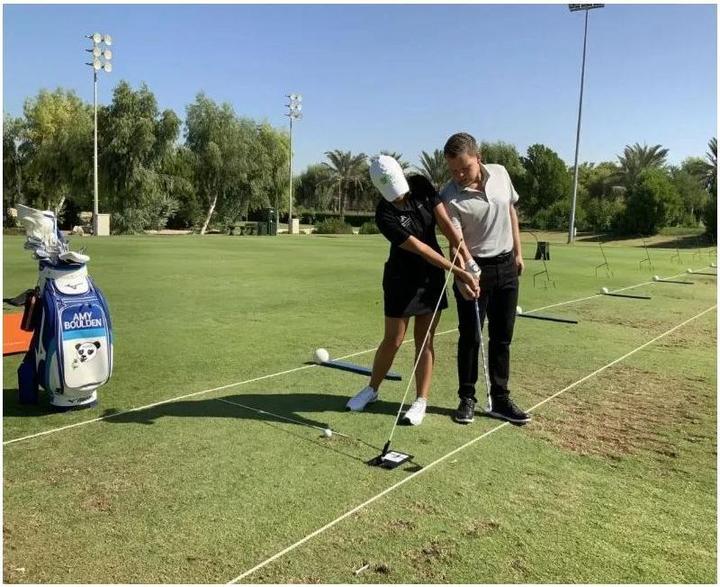 Actual product image Swing Plate Swing training