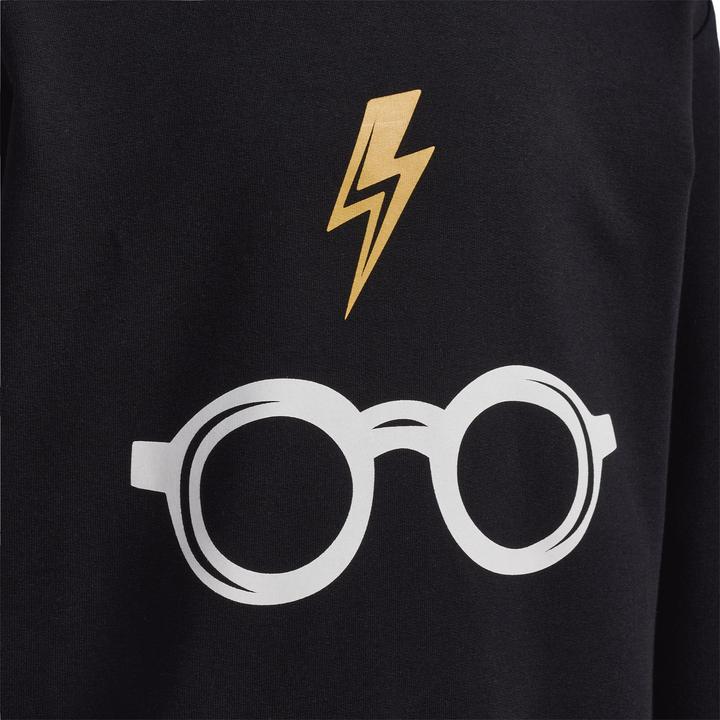 Produktbild hummel Hmlharry Potter Hoodie (110)
