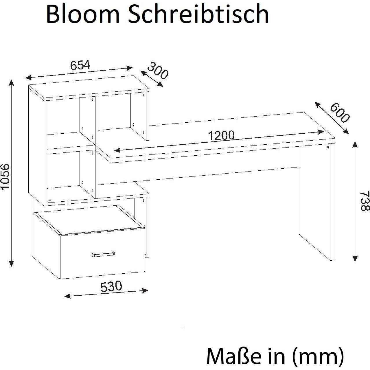 Thumbnail - Moebel17, Schreibtisch, Bloom