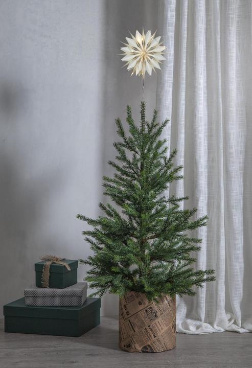 Actual product image Star Trading Baumstern Flinga (1-part)