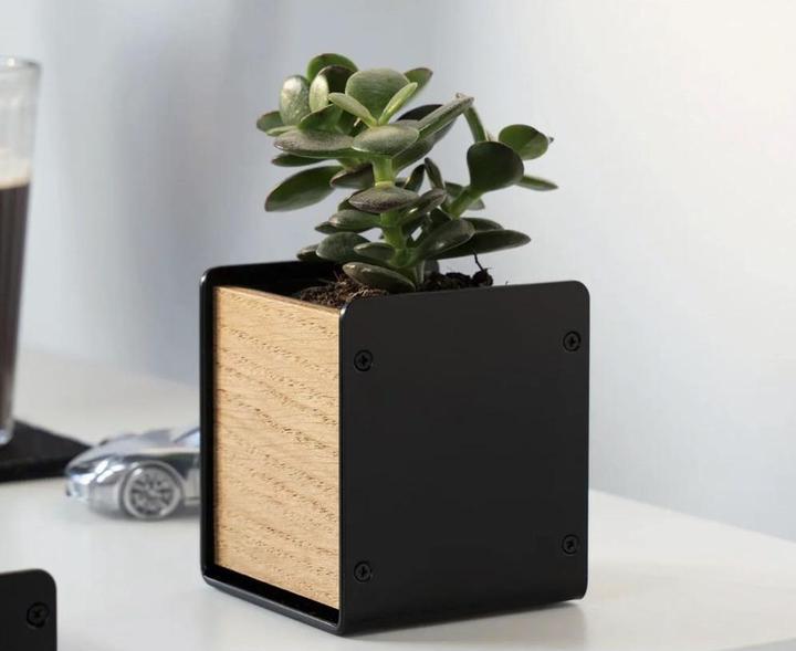 Produktbild Balolo Planter Eiche (7 x 7 x 8.20 cm)