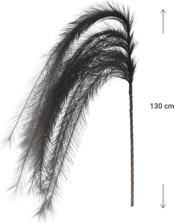 Actual product image Casativo Illuminated decoration 6 feathers, feather decoration with LEDs and timer function, black, 130 cm