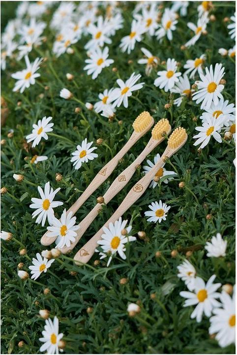 Immagine prodotto Liebwerk Spazzolino da denti in legno Ricine Leaf (Medio, 1 x)