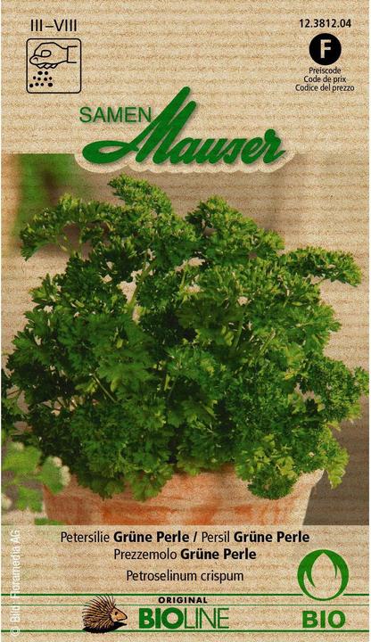 Image du produit Samen Mauser Perle verte (Graines d'herbes aromatiques)
