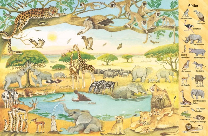 Produktbild Mein erstes Wimmelbuch: Tiere aus aller Welt (Deutsch)