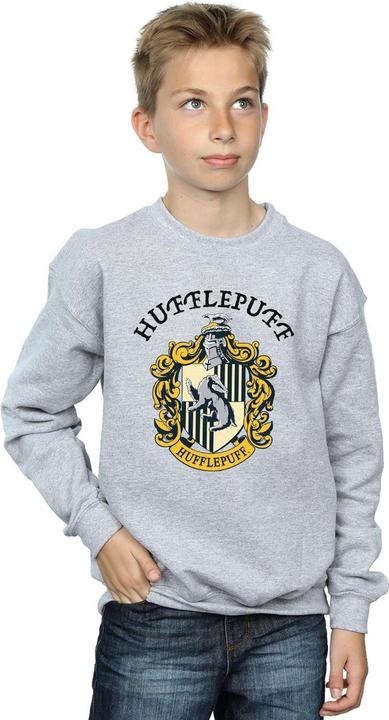 Produktbild Sweatshirt Jungen (140, 146)