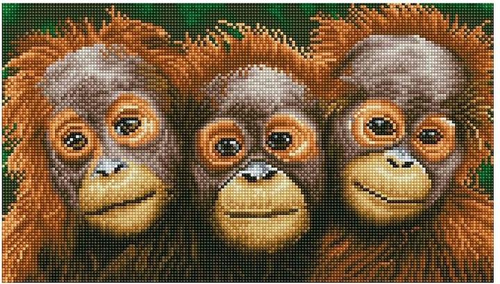 Immagine prodotto Diamond Dotz Diamante che dipinge gli Orang Utan