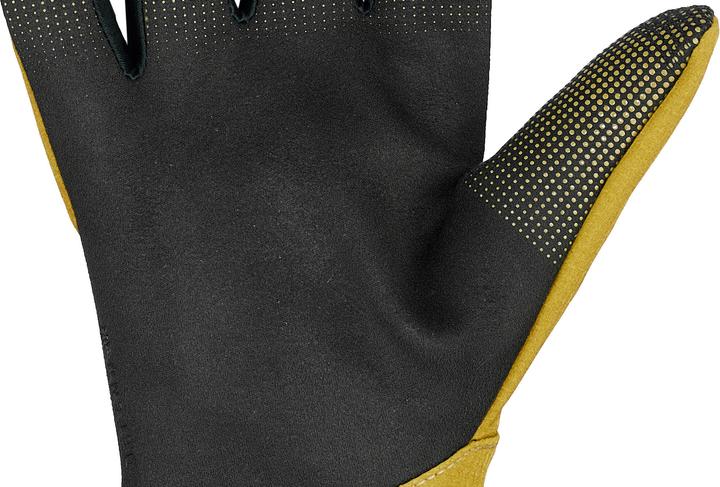 Image du produit Fox Gants 22 Defend Pro Fire Crml 2x (12, XXL)