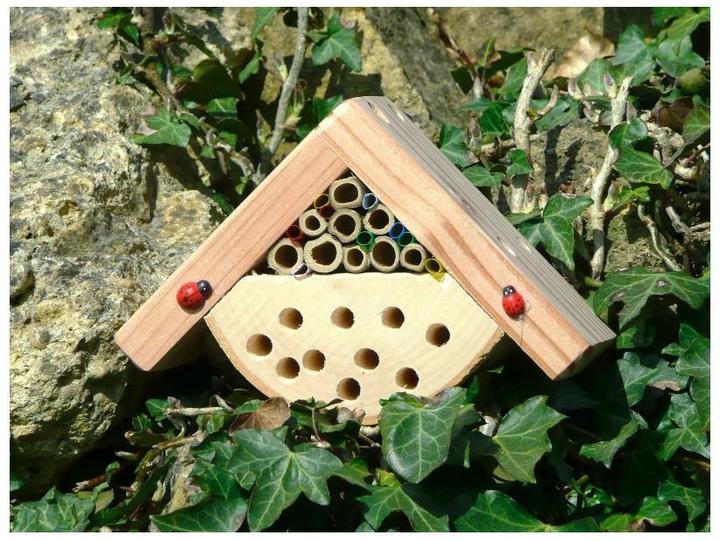 Immagine prodotto Wildlife World Minibug (Api, Coccinelle)
