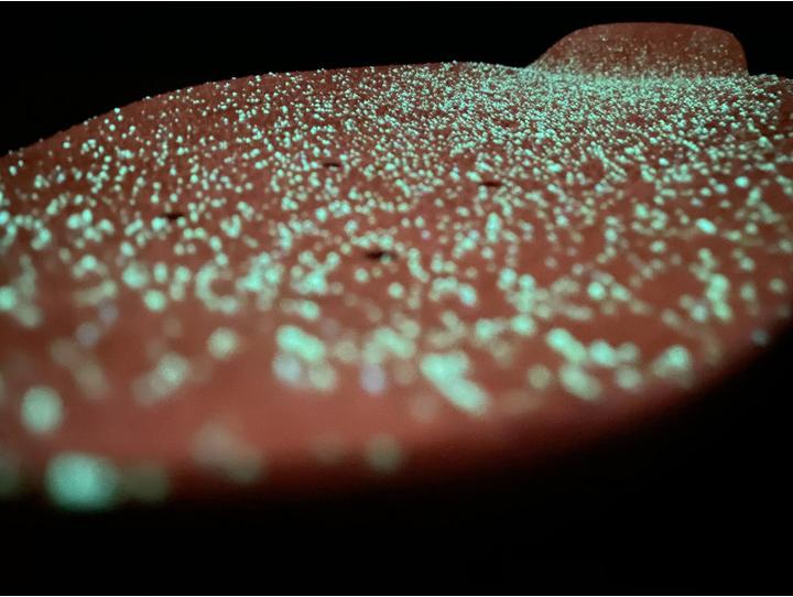 Image du produit Lucid Grip Glow 2021