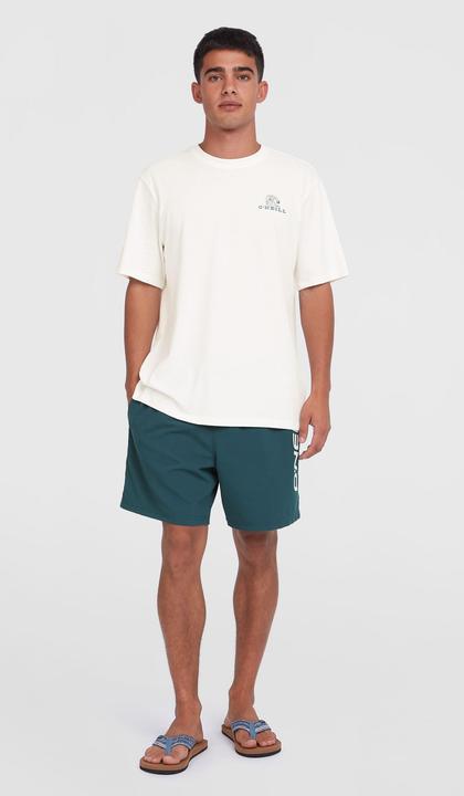 Actual product image O'Neill CALI 16" SWIMSHORTS (L)