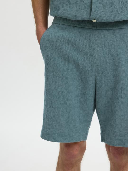 Immagine prodotto Selected Regular Fit Shorts (XL)