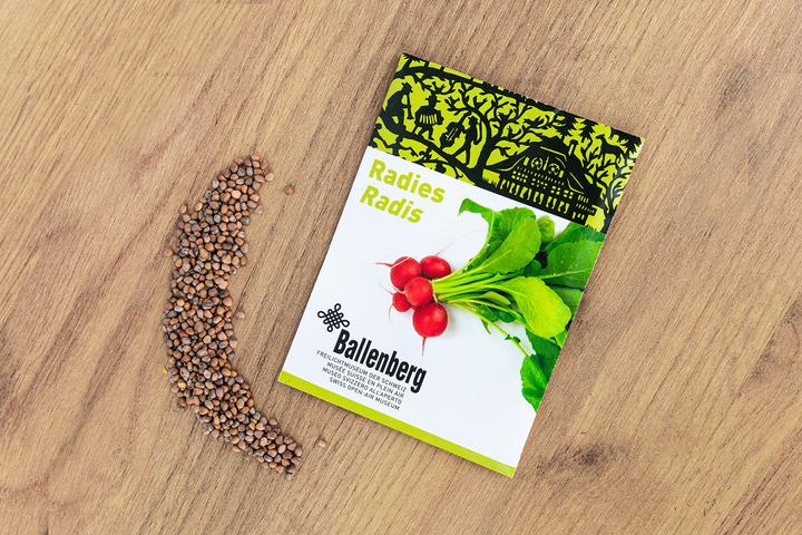 Produktbild Zollinger Bio Radies, Saxa (Ballenberg-Edition)