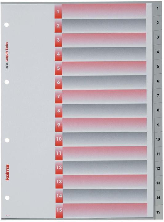 Actual product image Kolma Register A4 superstrong 1-15 15-piece grey