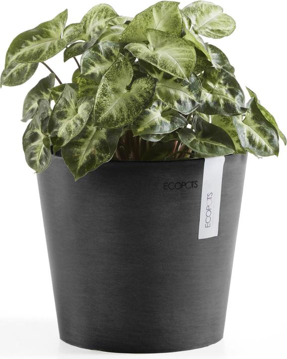 Produktbild Ecopots Amsterdam Mini (17 cm)