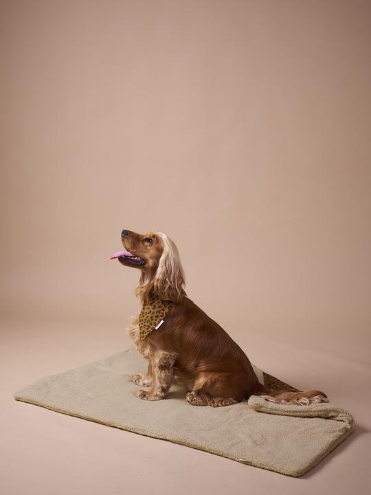 Actual product image Vertbaudet Wendbare Hundedecke, Liegedecke (Dog)