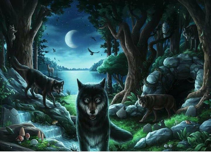 Produktbild Ravensburger RAV15028 - EXIT Puzzle: Wolfgeschichten, 759 Teile, ab 12 Jahren (759 Teile)
