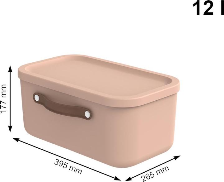 Image du produit Rotho Maloja (39,5 x 26,5 x 18 cm, 12 l)