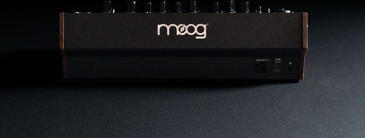 Actual product image Moog Spectravox