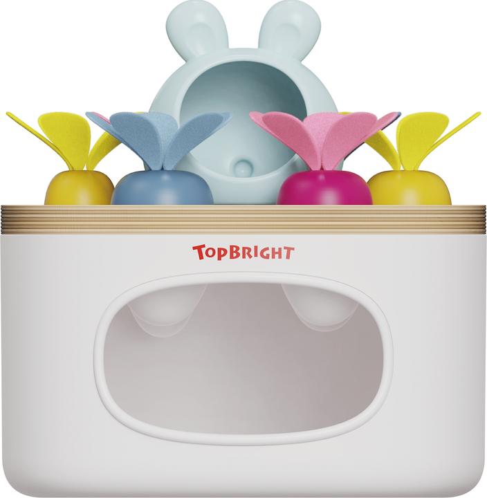 Produktbild Topbright Toys Sortierspiel Karotten