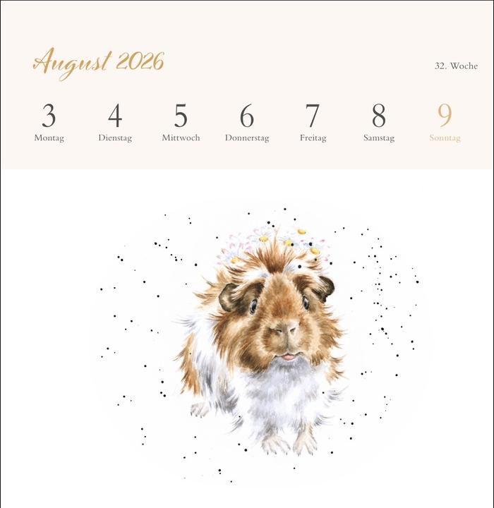 Produktbild Hannah Dale: Happy Animals Premium-Postkartenkalender 2026 (165 x 177 mm, Kein Einband, Deutsch)